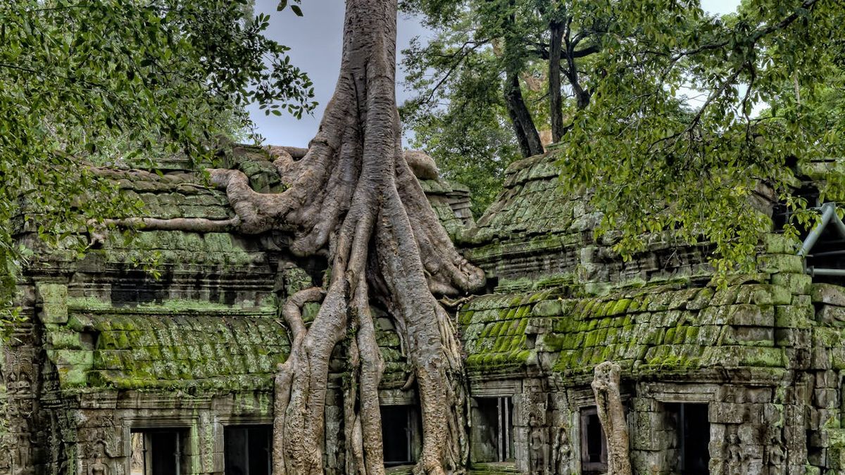 Serayu Heritage: Rasa Warisan di Jantung Cilacap